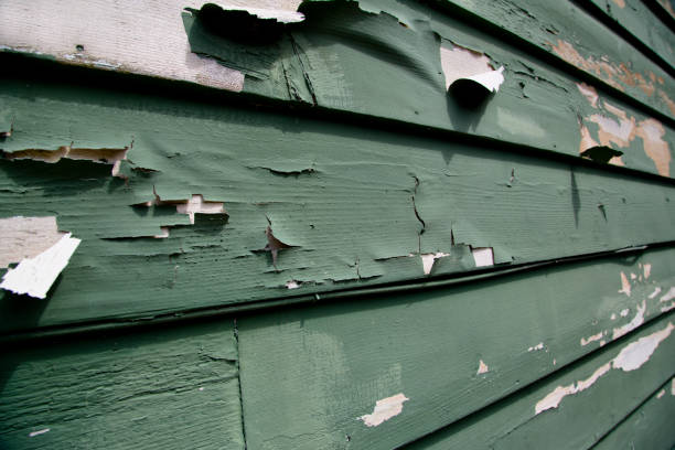 Best Recycling Services for Junk  in Darlington, SC